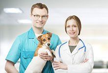 A veterinarian in a white coat and a nurse in blue scrubs holding a small dog in a bright clinic