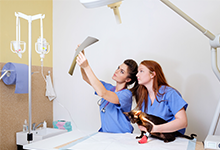 Two healthcare workers in blue scrubs examine a document in a bright hospital room