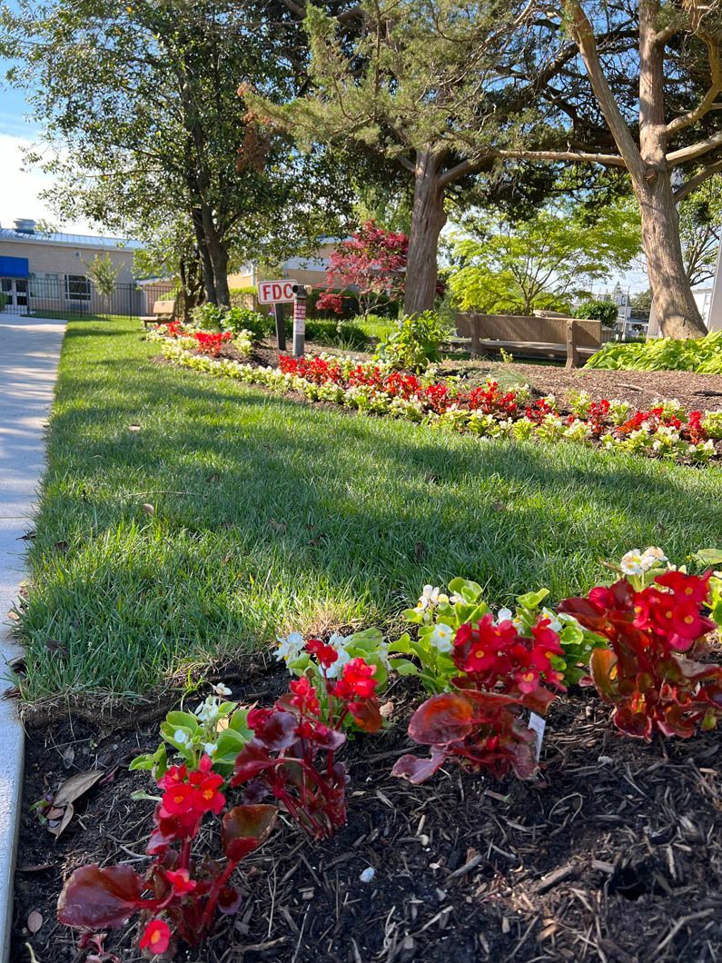 Landscaped walkway with red flowers, green lawn, and trees beside a building