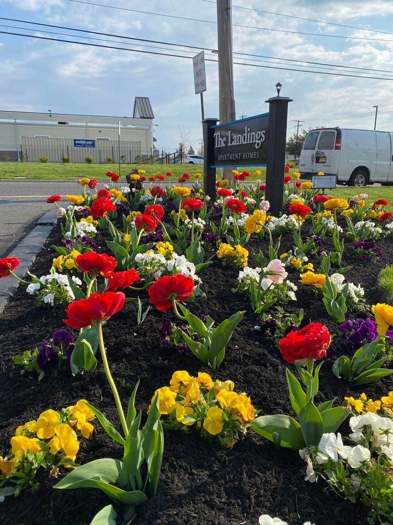 Bright flower bed with red, yellow, white, and pink blooms by a roadside sign under a cloudy sky