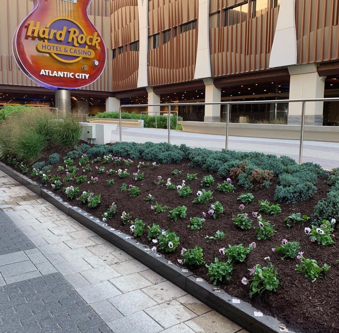 Hard Rock Atlantic City sign beside landscaped flower bed and modern building facade