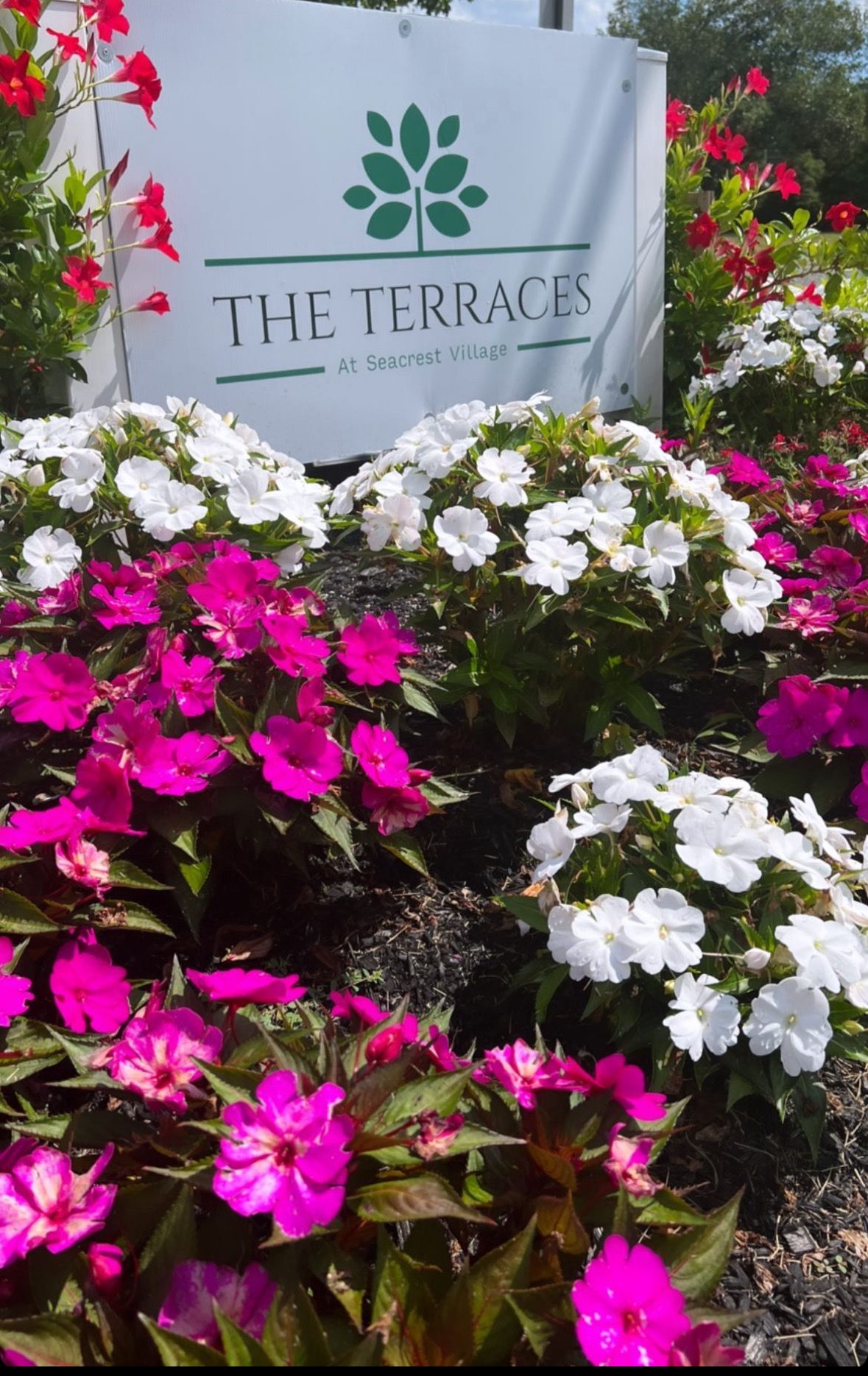 “The Terraces” sign surrounded by pink and white flowers in a garden-like setting