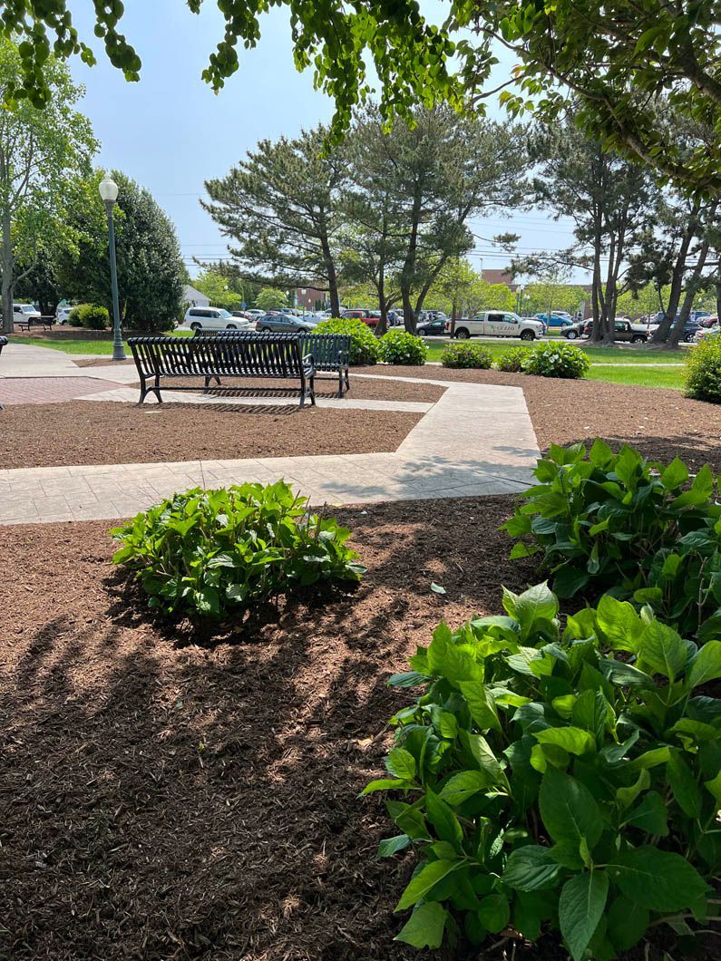 Park bench in a sunny landscaped garden with trees, shrubs, and a paved path