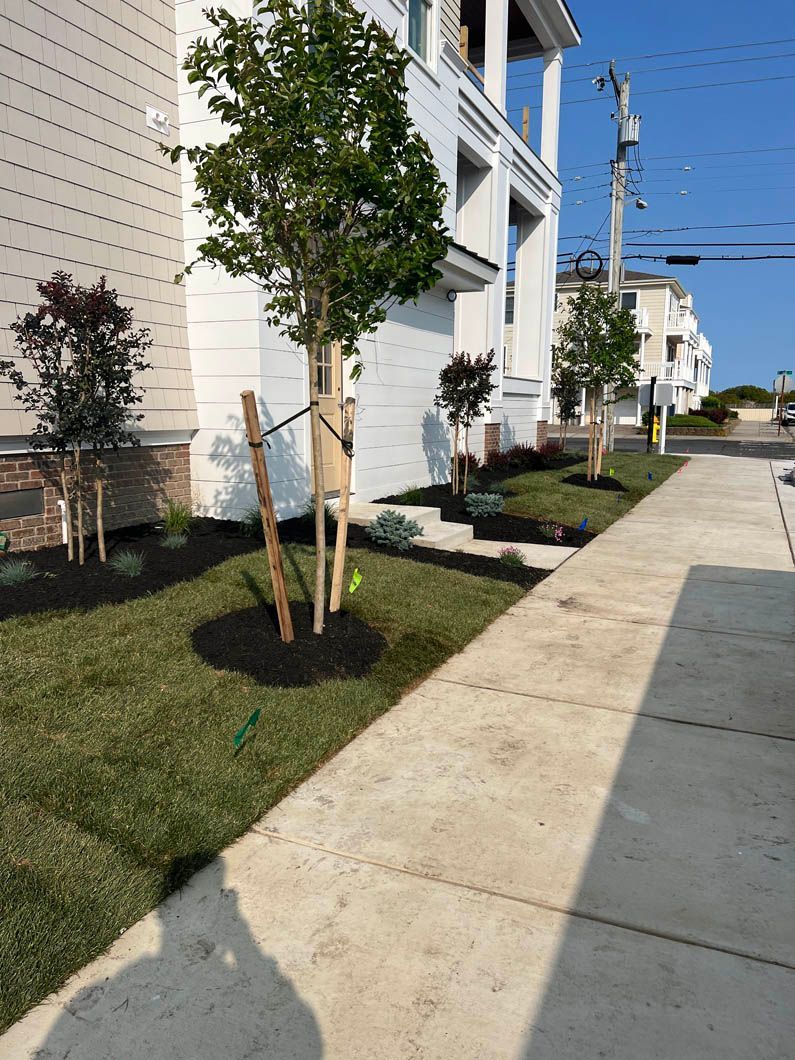 Sidewalk beside white apartment buildings with young trees, grass, and parked cars in bright sunlight