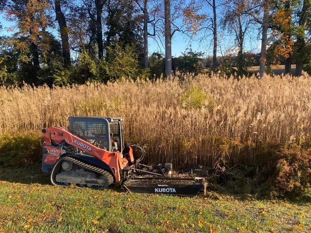 A tractor is cutting grass in a field with trees in the background.