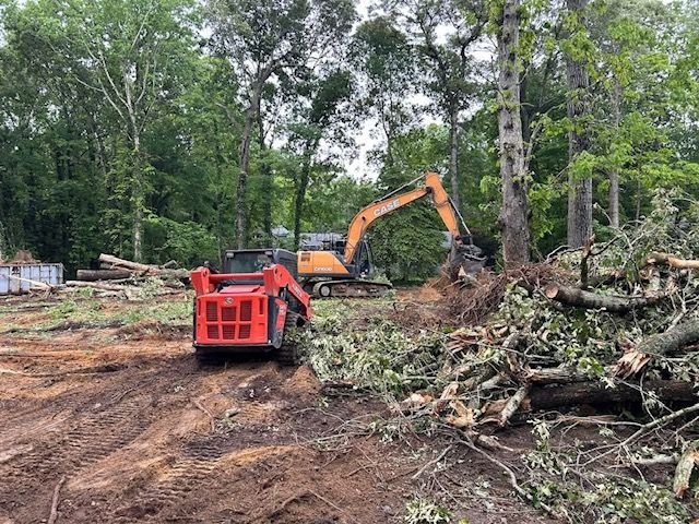 A bulldozer is cutting down trees in a forest.