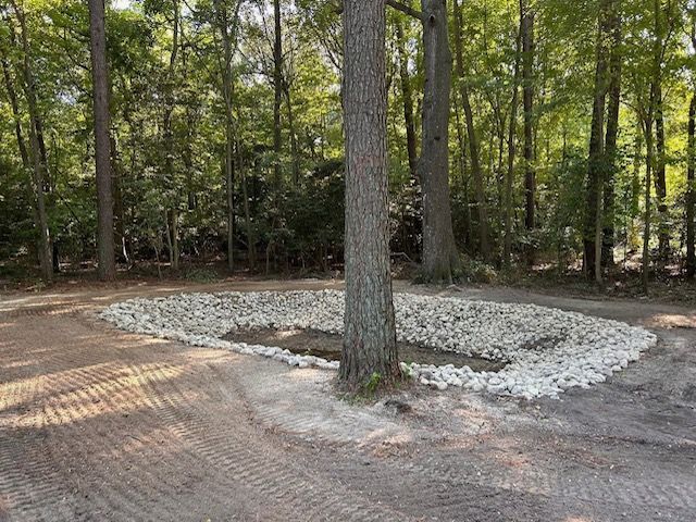 A tree in the middle of a forest with a pile of rocks around it.