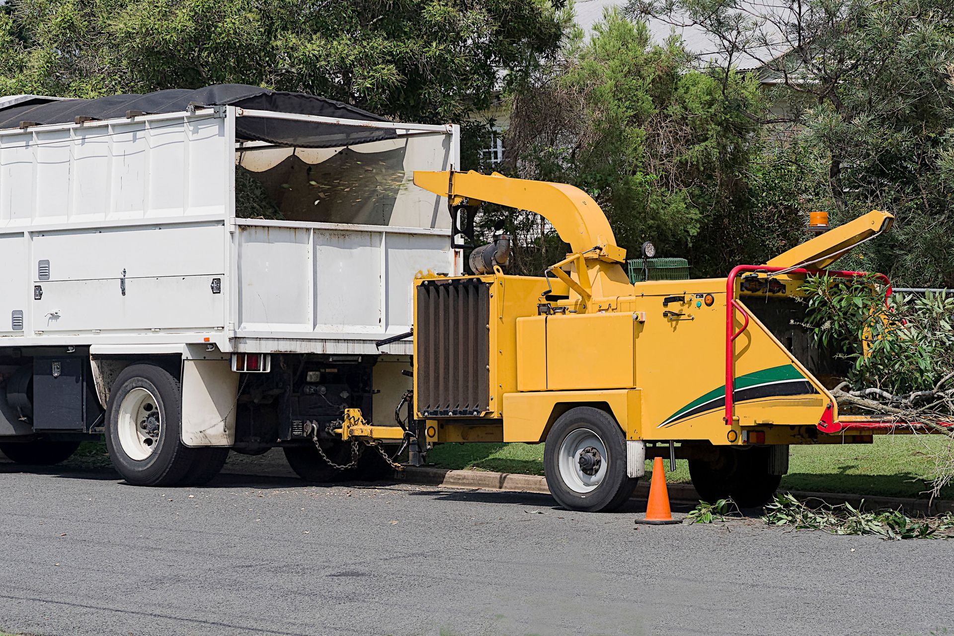 forestry mulching contractors