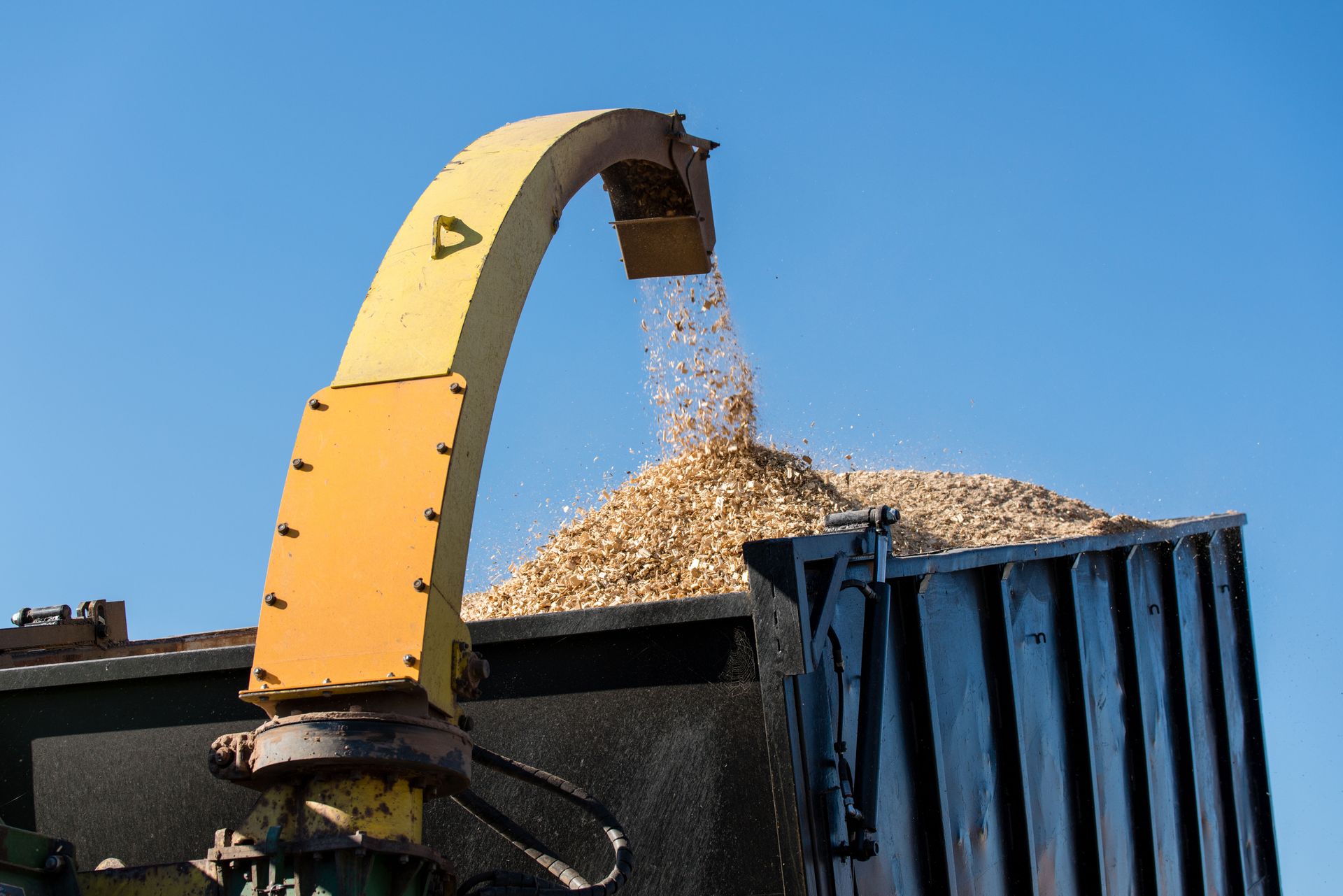 forestry mulching business