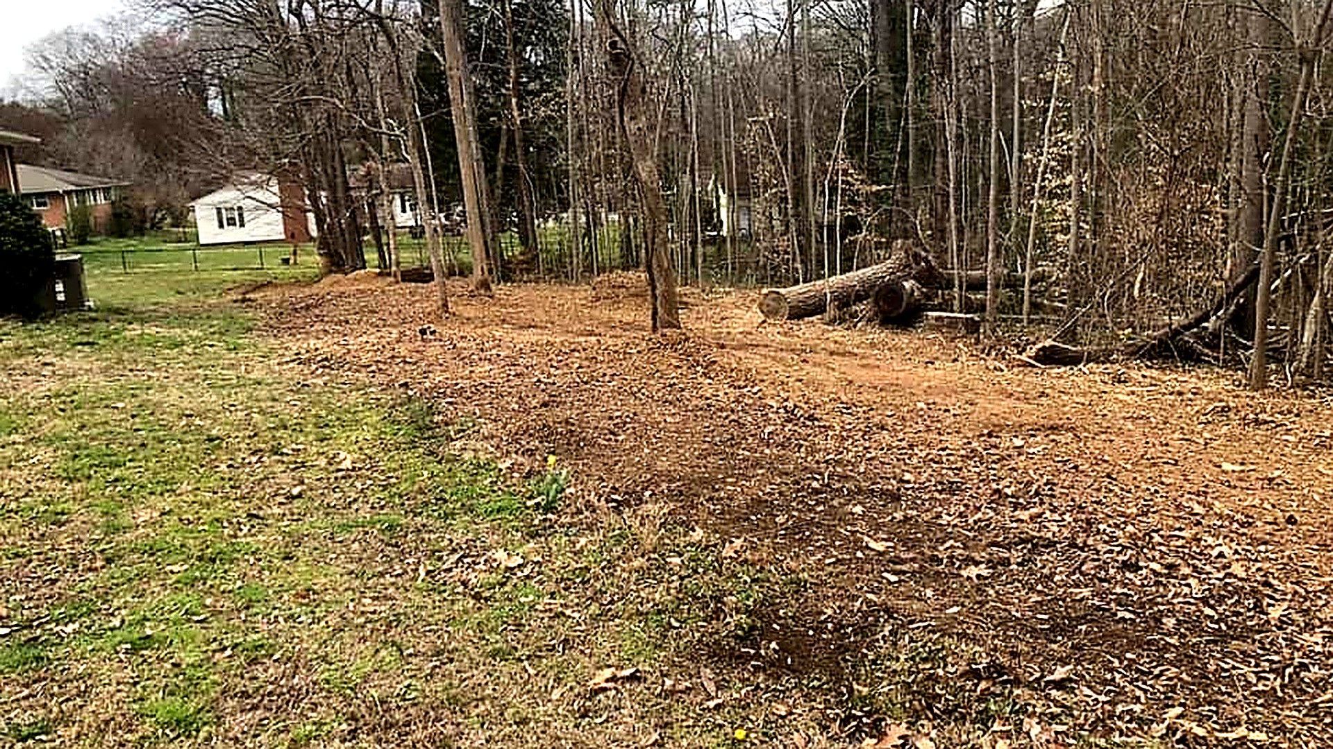 Cleared wooded lot with brown mulch or leaves, trees along the edge, and a small white house in the distance