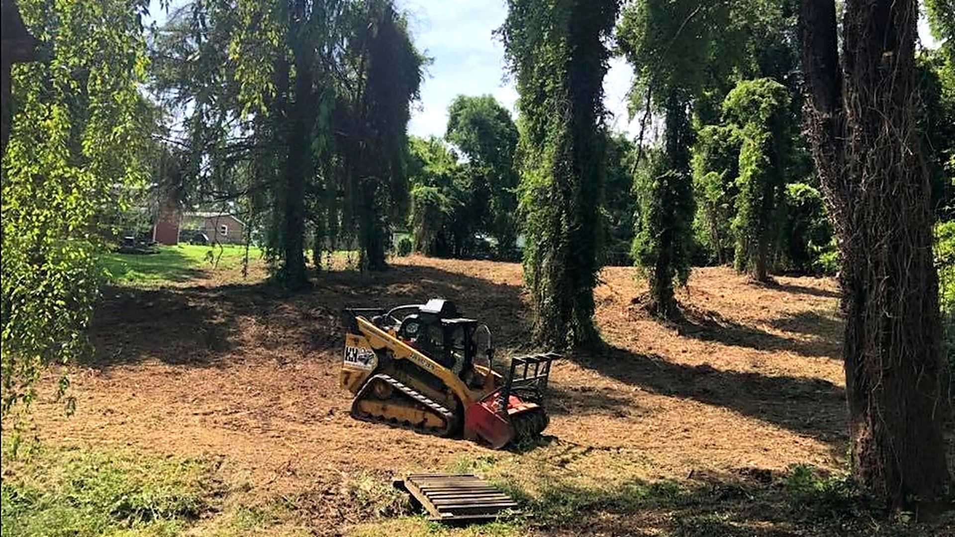 A small red excavator sits in a sunny wooded clearing with tall trees and dry ground.