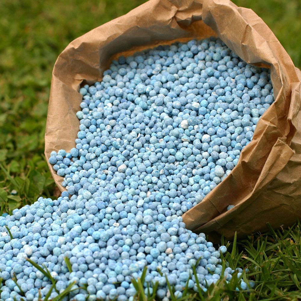 A bag of blue fertilizer is pouring out of it on the grass.