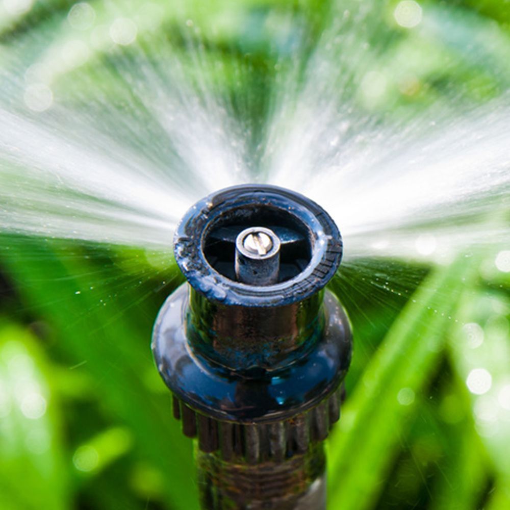 A close up of a sprinkler spraying water in the grass.