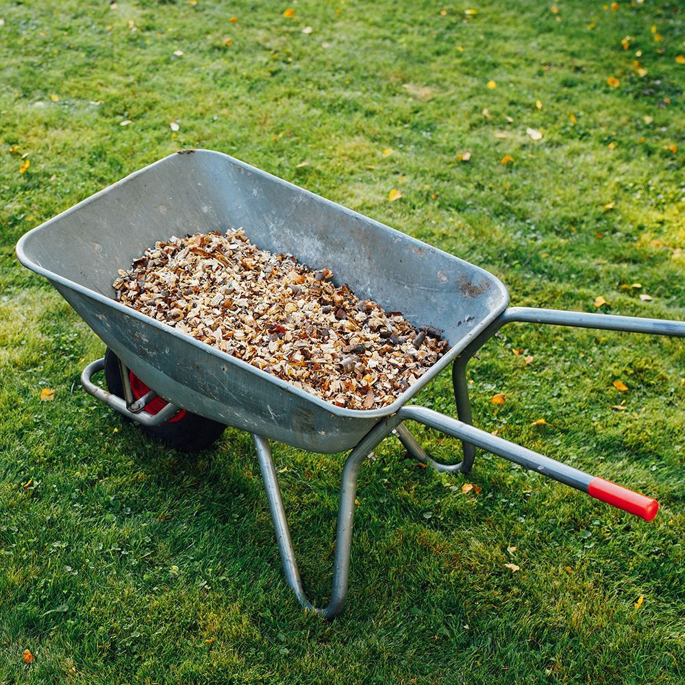 A wheelbarrow filled with leaves is sitting on the grass