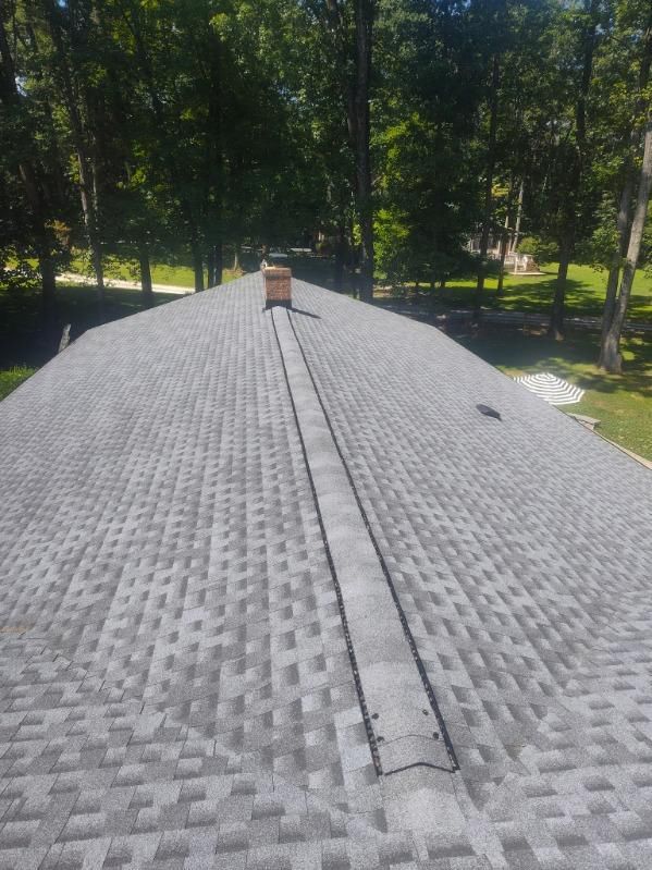 A roof with a chimney on it and trees in the background.