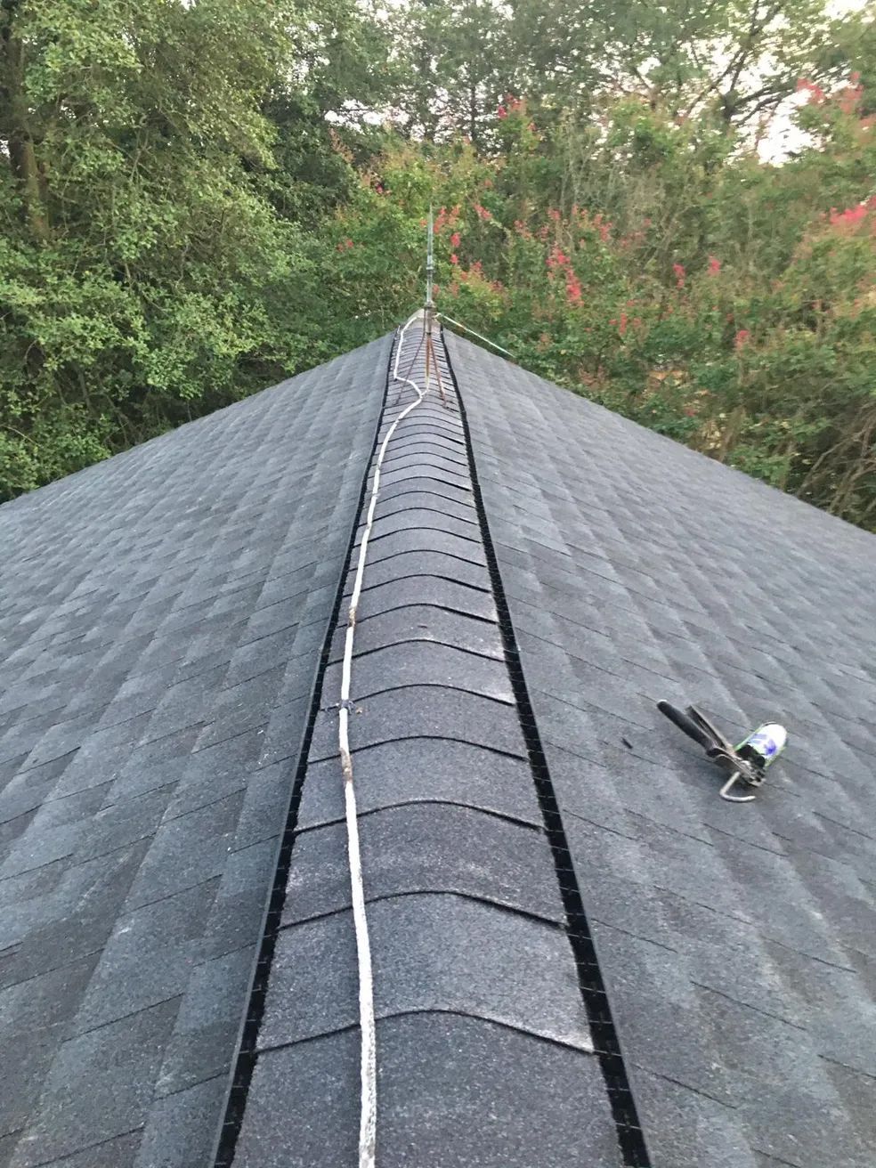 A close up of a roof with a bird on it.