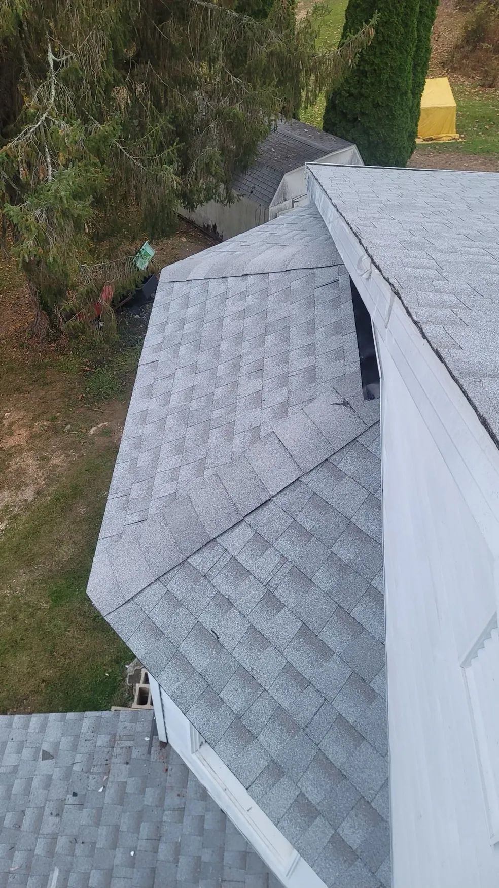 A bird is perched on the roof of a house.