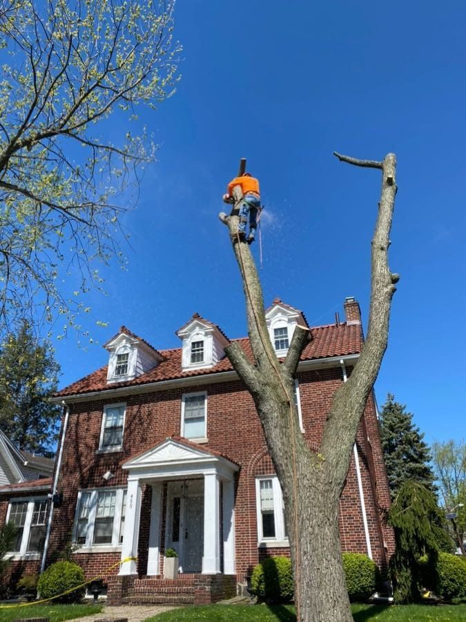 a man is climbing a tree in front of a brick house .