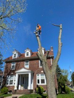 a man is climbing a tree in front of a house .