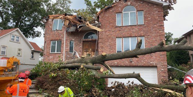 storm tree service
