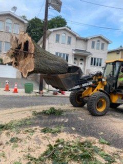 a large tree stump is being lifted by a bulldozer .