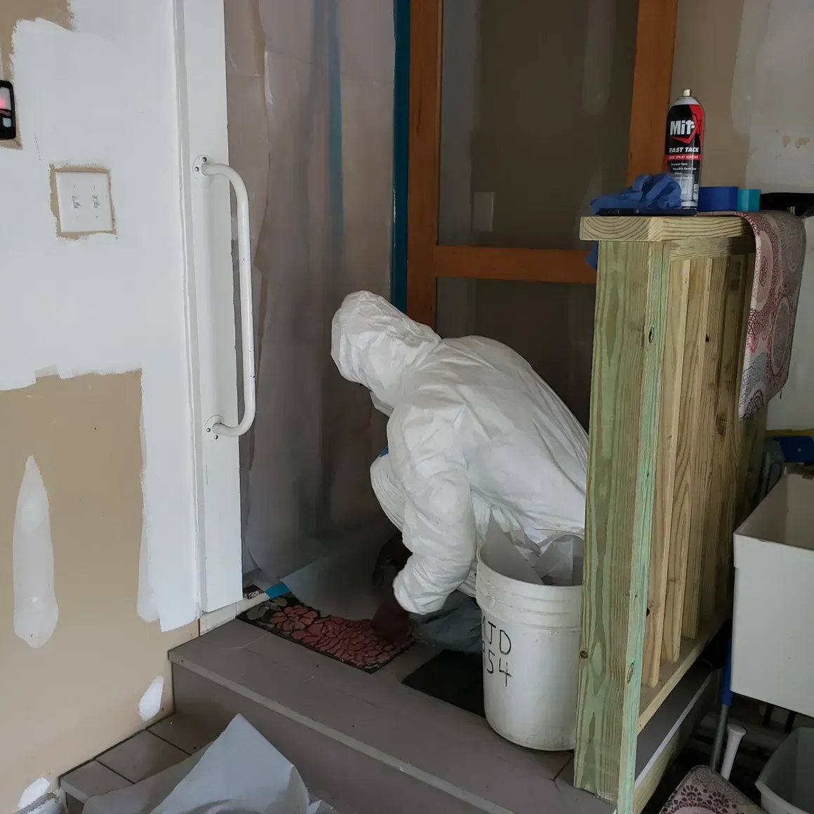 Mold remediation