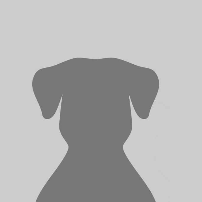 Silhouette of a dog, facing away, in a solid gray color against a light gray background.