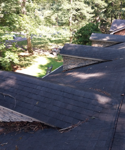A high-angle view of shingled roof sections with stone-faced dormers overlooking a wooded residential yard.