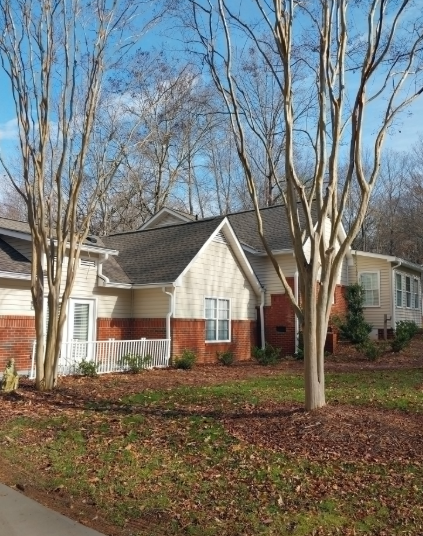 A one-story suburban home with tan siding and red brick, framed by two tall, leafless trees on a grassy, leaf-covered lawn.
