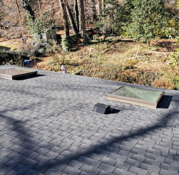 A gray asphalt shingle roof with two skylights and a small vent, overlooking a wooded yard.