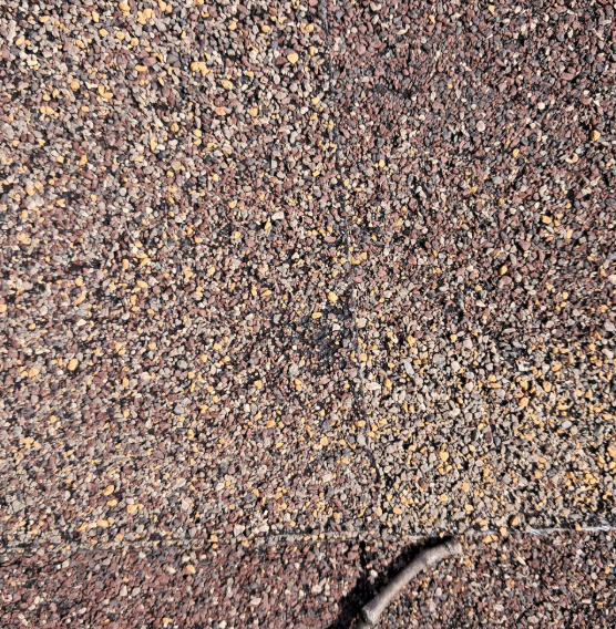 Close-up view of textured, multi-colored brown and black asphalt roof shingles with a small twig resting on the surface.
