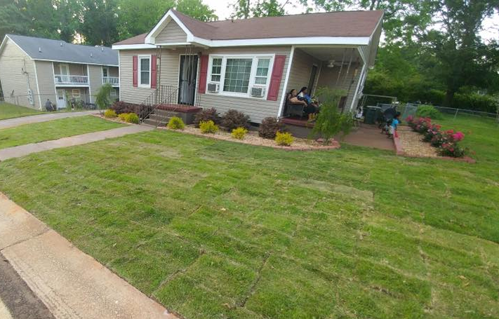 New Landscaping, sod installation, Irrigation