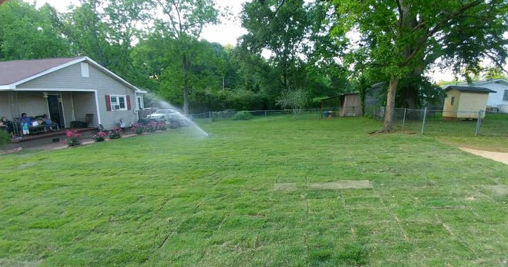 New Landscaping with Irrigation, Sprinkler