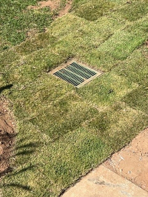 a drain cover is sitting on top of a lush green lawn next to a sidewalk