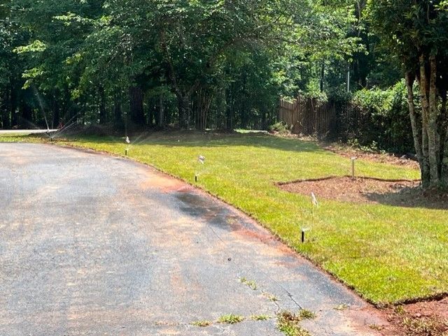 a road with a lot of grass on the side of it