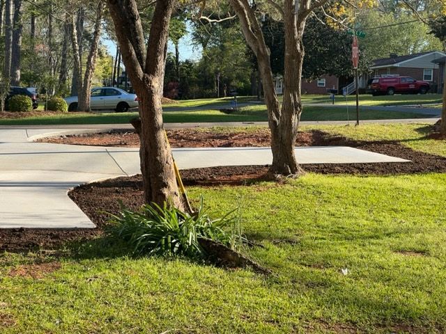 a lush green yard with trees and a concrete driveway