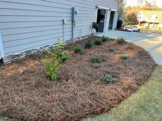 a yard with a lot of mulch and plants in front of a house