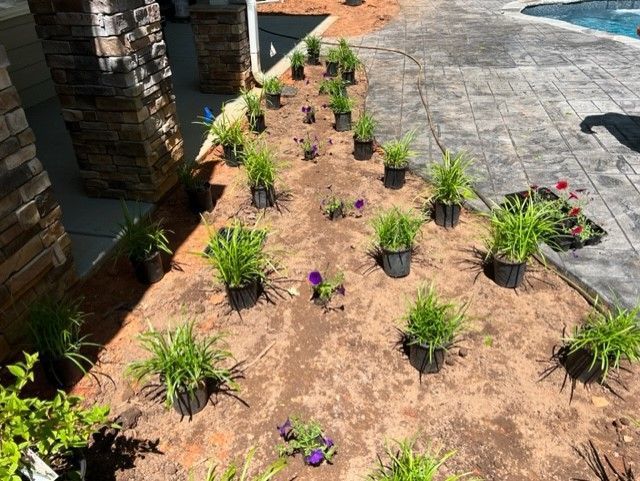 a bunch of potted plants are sitting in the dirt next to a pool