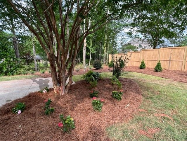 a yard with a wooden fence and a tree in the middle of it