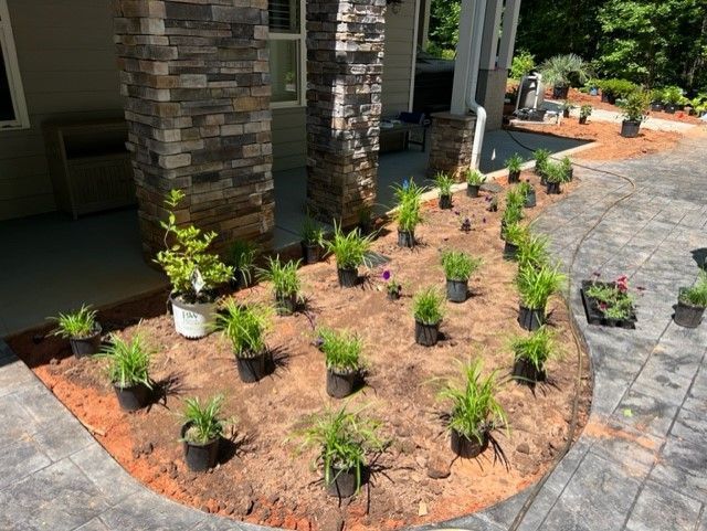 a bunch of potted plants are sitting in the dirt in front of a house