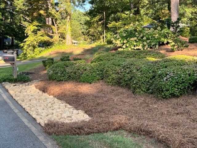 there is a lot of mulch on the side of the road