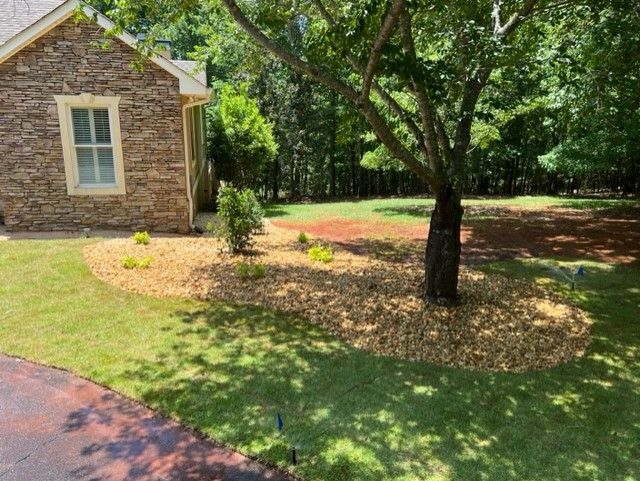a house with a driveway and a tree in front of it
