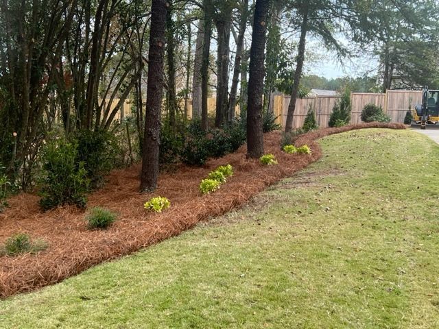 a lawn with a lot of mulch and trees in the background