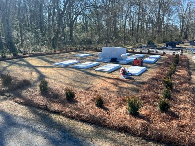 a group of mattresses are sitting on top of a lush green field