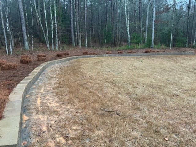 a concrete curb surrounds a dirt field in the middle of a forest