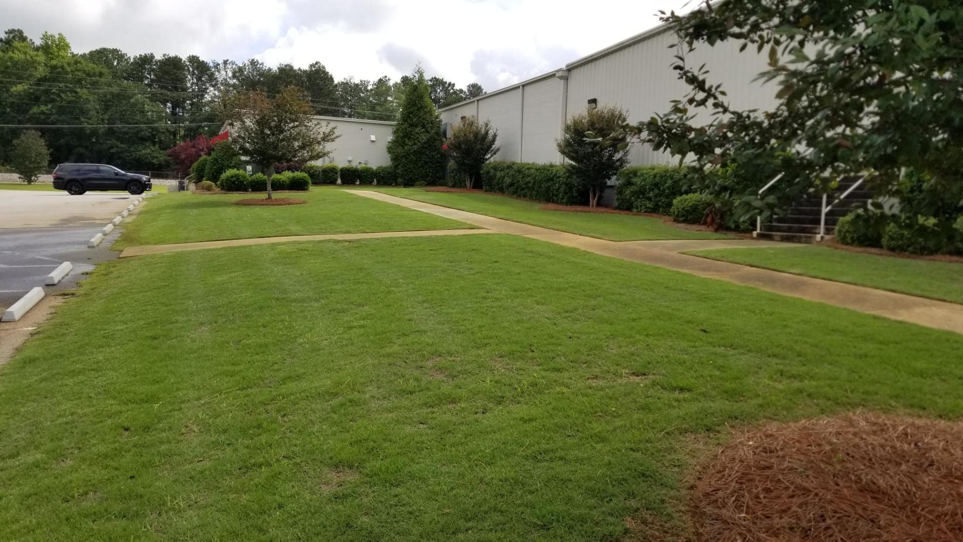 Bermuda Sod Installation, Commercial Landscaping