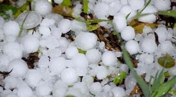 A close up of a pile of hail on the ground.