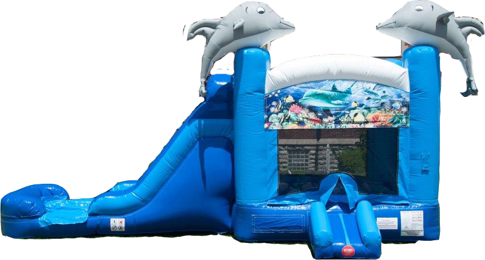 5-in-1 Dolphin Combo Bouncer with Slide