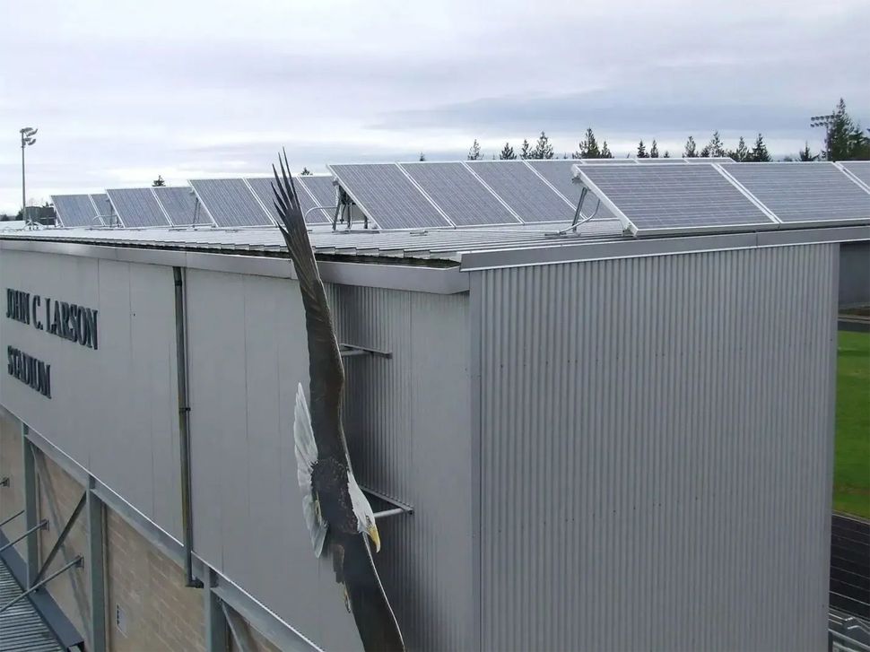 Two workers in high-visibility clothing install solar panels on a dark, corrugated metal roof during the day.