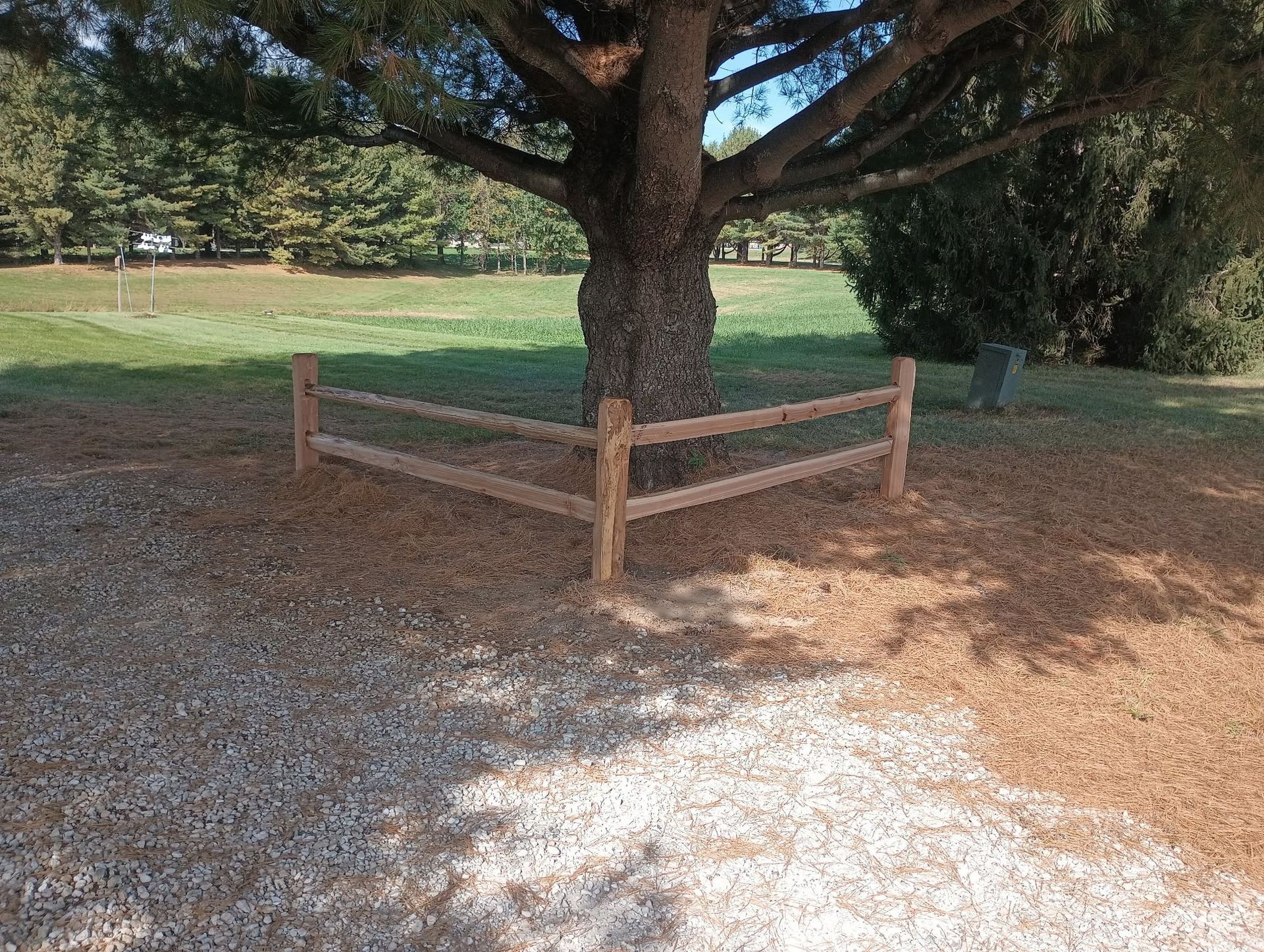 Wooden fence encircling a large tree in a gravel and grassy park area